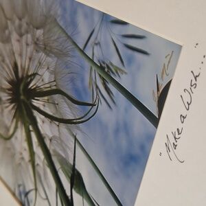Signed MATTED Original Photography " Make A Wish "